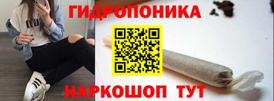 молекула духа Ливны